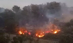 Manisa Soma'da orman yangını
