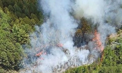 Muğla'da çıkan orman yangınına müdahale ediliyor!