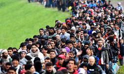 Türkler Almanya’ya kaçak giriş için beklemede
