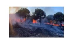 Sancaktepe'deki Yangın Kontrol Altına Alındı