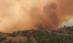 Adana'da Orman Yangını Çıktı!