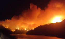 Adana'nın Kozan'da Orman Yangını!