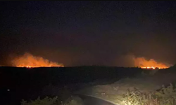 Bulgaristan'ın Türkiye Sınırında Orman Yangını Çıktı!