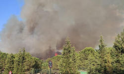 Bursa'nın Kestel ilçesinde Orman Yangını!