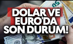 Dolar Ve Euro'da Son Durum!