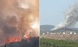 İstanbul Çekmeköy'de orman yangını çıktı!