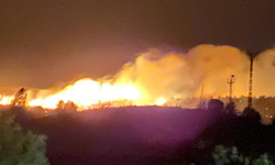 Malatya'da Çıkan Orman Yangını Köylere'de Sıçradı