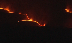 Bulgaristan-Türkiye Sınırında Yangın Felaketi!