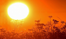 Yer Fransa! Sıcak Hava Dalgası 400 Kişinin Ölümüne Neden Oldu