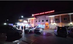 Adana'da Aile İçi Şiddet Yine Ölümle Sonuçlandı