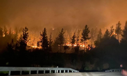 Adana’nın Kozan ilçesinde  Orman Yangını Çıktı