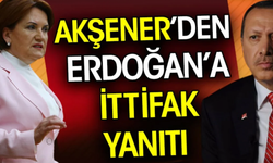 Akşener'den Cumhurbaşkanı Erdoğan'a et 'İttifak' Yanıtı!