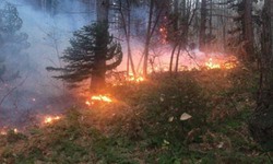 Burdur'da Orman Yangını Devam Ediyor!