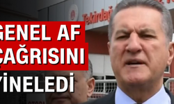 Erzincan Milletvekili Mustafa Sarıgül'den 'Yüzüncü Yıl Affı' Çağrısı!