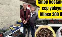 Kilosu 300 lira olan Sinop Kestanesi Cep Mi Yakıyor?