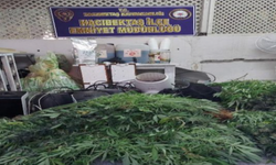 Nevşehir’de Uyuşturucu Operasyonu: 2 Gözaltı