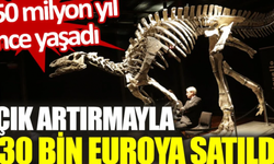 Paris'te 150 Milyon Yıllık Dinozor İskeleti Açık Artırmayla 930 Bin Euro'ya Satıldı!