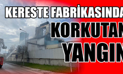 Tokat'ta Kereste Fabrikasında Çıkan Yangın Büyük Paniğe Neden Oldu!