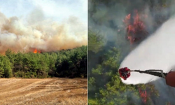 Çanakkale ve Muğla'da Orman Yangını!