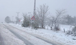 Erzurum-Tekman Yolu Yoğun Kar ve Tipi Nedeniyle Ulaşıma Kapatıldı
