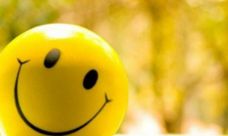 Mutluluk Hormonunun Beyin Dışındaki Etkileri: Sağlık ve İyilik Hali