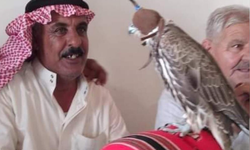 Türkiye'de kaçakçılık arttı, yırtıcı kuşlar Orta Doğu'daki prenslere satılıyormuş!