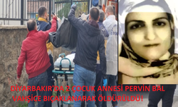 Yine kadın cinayeti...Diyarbakır'da 45 yaşında iki çocuk annesi kadın bıçaklandı