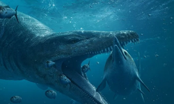 Dev pliosaur deniz canavarı kafatası sergileniyor