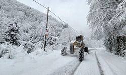 Kar yağışı Doğu Karadeniz'i esir aldı: 220 köye ulaşılamadı