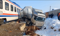 Muş'ta Tren ile TIR Çarpıştı: 2 Kişi ve 25 Boğa hayatını kaybetti
