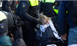 İklim aktivistleri eylem yaptı: Yüzlerce kişi gözaltına alındı