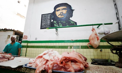 Küba'da tavuk soygunu:  30 kişi suçlandı