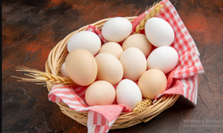 Yumurtanın Faydaları Nelerdir? Yumurta Neye İyi Gelir?