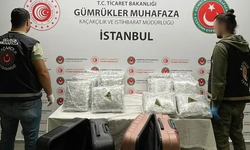 İstanbul'da Uyuşturucu Operasyonu: 461 kilo uyuşturucu ele geçirildi!