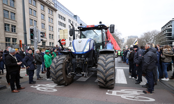 Protestocu çiftçiler Brüksel'i traktörlerle doldurdu