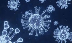 Japonya'da Endişe Verici Yeni Salgın: Strep A Virüsü