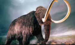 Mamutlar 4 bin yıl sonra yeniden geri dönüyor