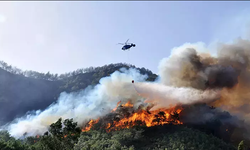 Antalya'da orman yangını çıktı!