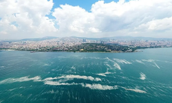 Marmara Denizi alarm veriyor: Sıcaklık, Görüş Mesafesi, Plankton Yoğunluğu...