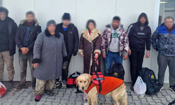 Yunanistan'a geçerken rehber köpeği ile yakalandı