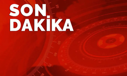 6 ilde 'Kalkan' Operasyonu: 19 göçmen kaçakçısı yakalandı