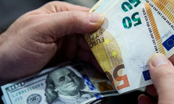 Dolar ve euro güne artarak başladı