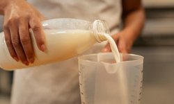 Sütün Faydaları ve Zararları Nelerdir?