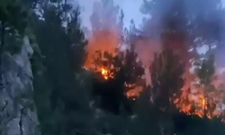 Osmaniye'de Orman Yangını Kontrol Altına Alındı