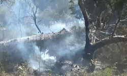 Çanakkale'nin Bayramiç İlçesinde Tarım Arazisinde Yangın Kontrol Altına Alındı