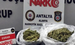 Alanya'da uyuşturucu operasyonu: 2 kilo uyuşturucu ele geçirildi