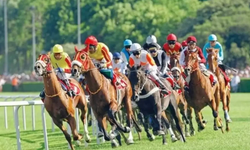 At Yarışlarında "Doping"in Adı Değişti