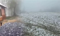 Yazı beklerken kar yağdı: Kocaeli'de kar yağdı