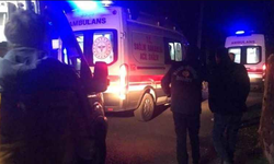 Mardin'de araba şarampole yuvarlandı: 2 Yaralı!