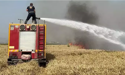 Hatay'da İki Ayrı Yangında 77 Dönüm Ekili Buğday Tarlası Zarar Gördü